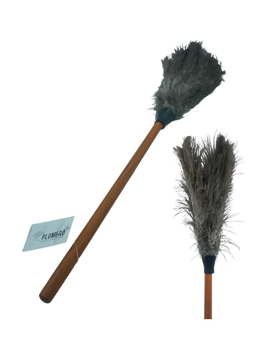 Plumero Farvisan de plumas 1