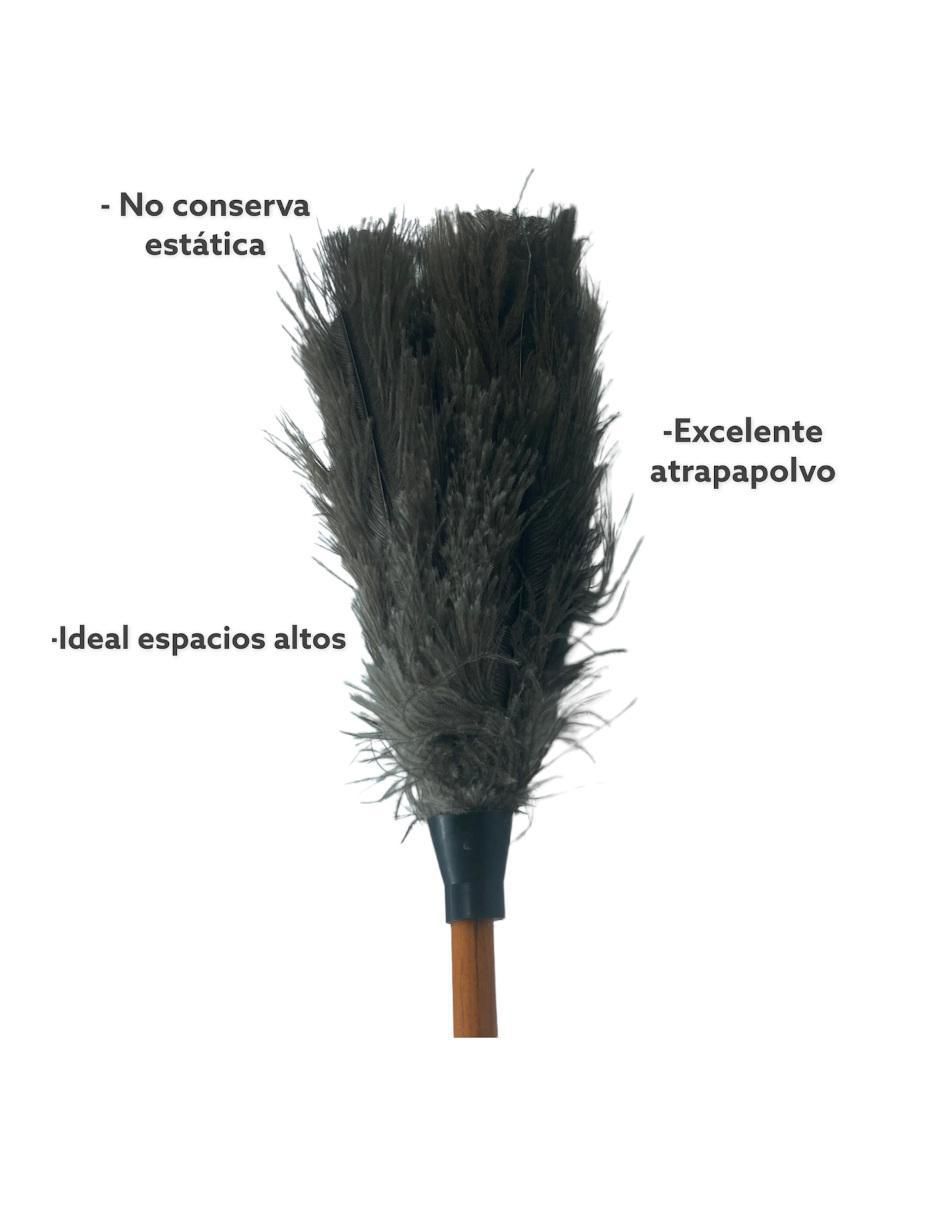 Plumero Farvisan de plumas Plumero Farvisan de plumas