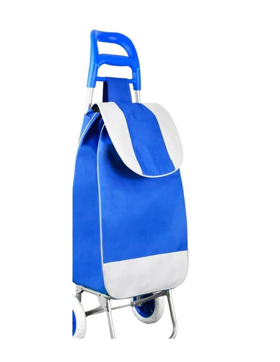 Carrito de compras plástico 2