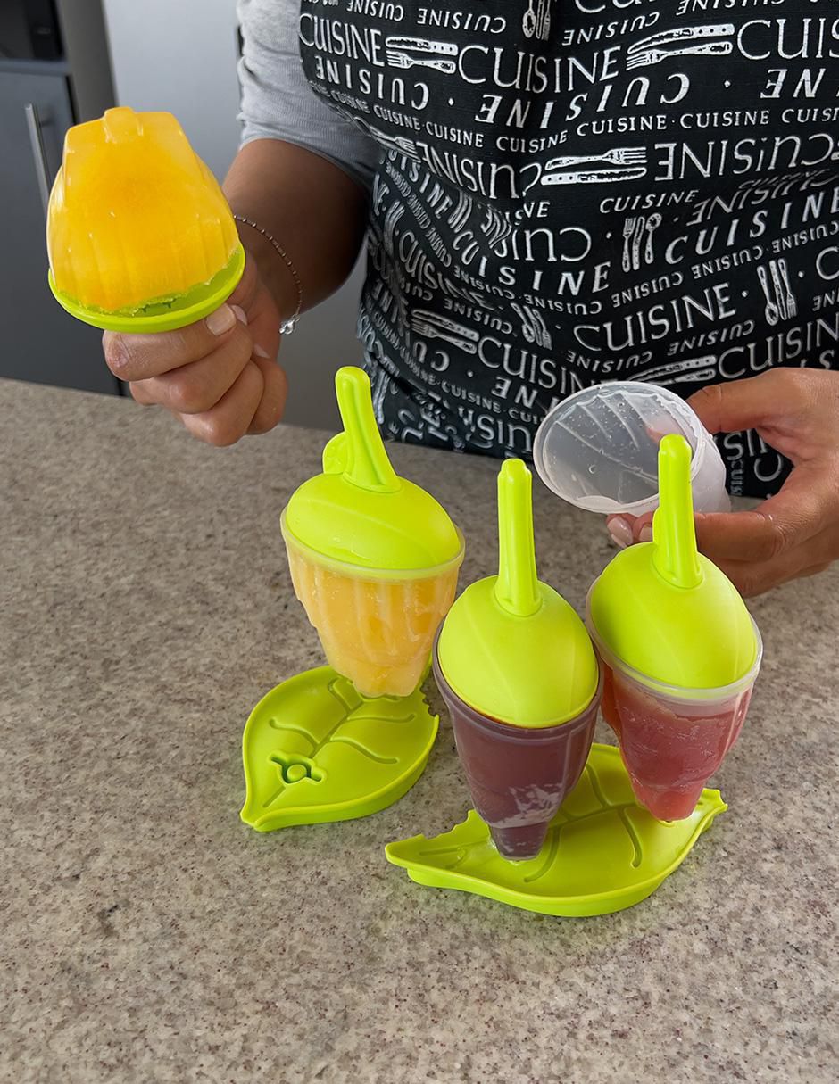 Molde paleta plástico 4