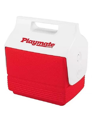 Hielera de plástico 1