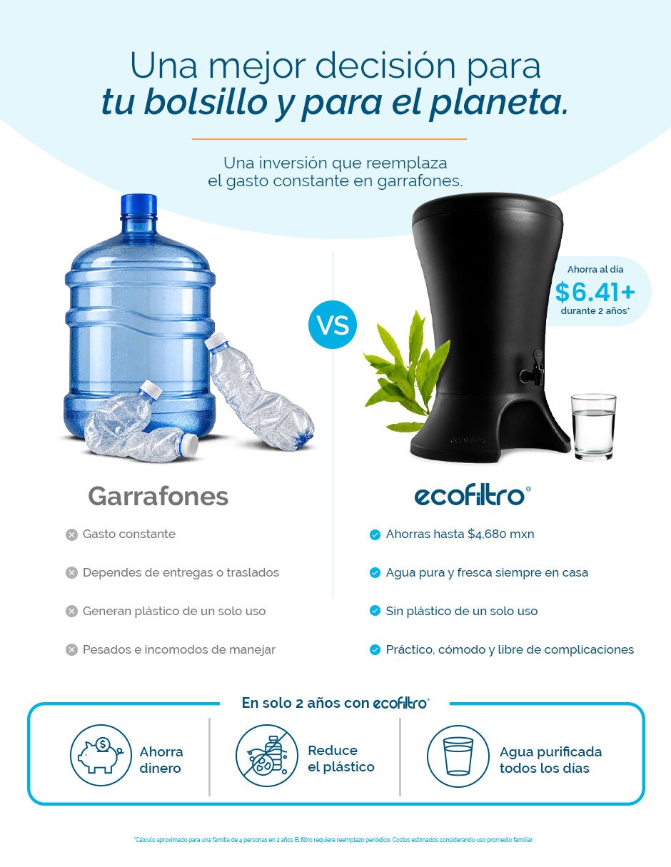 Filtro purificador de agua 12