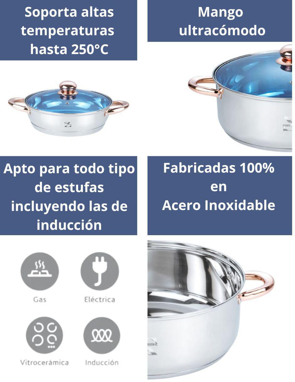 Arrocera convencional Swiss Silver