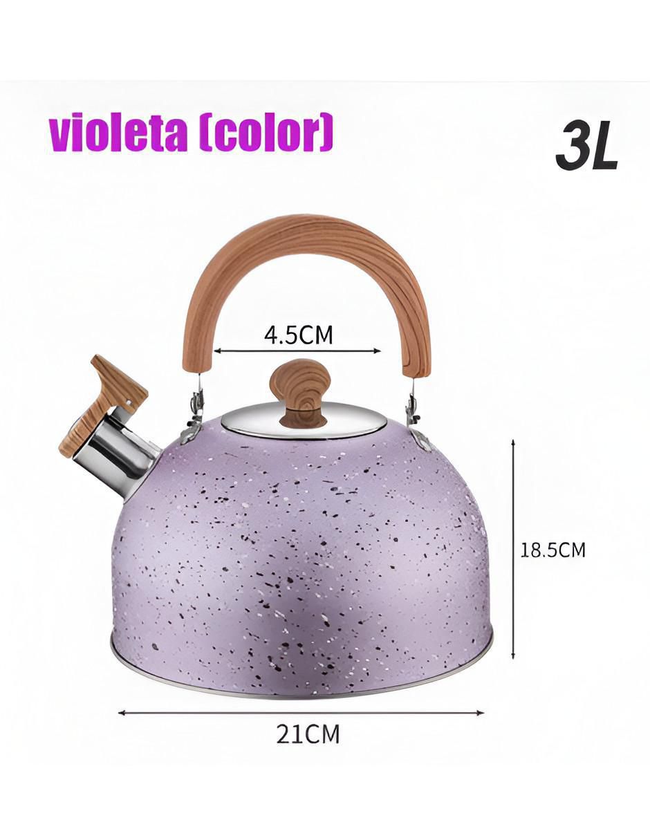 Tetera silbadora Xtellar de acero inoxidable
