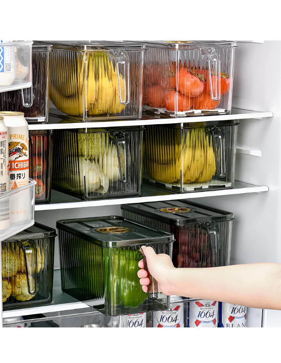 Organizador para refrigerador Xtellar