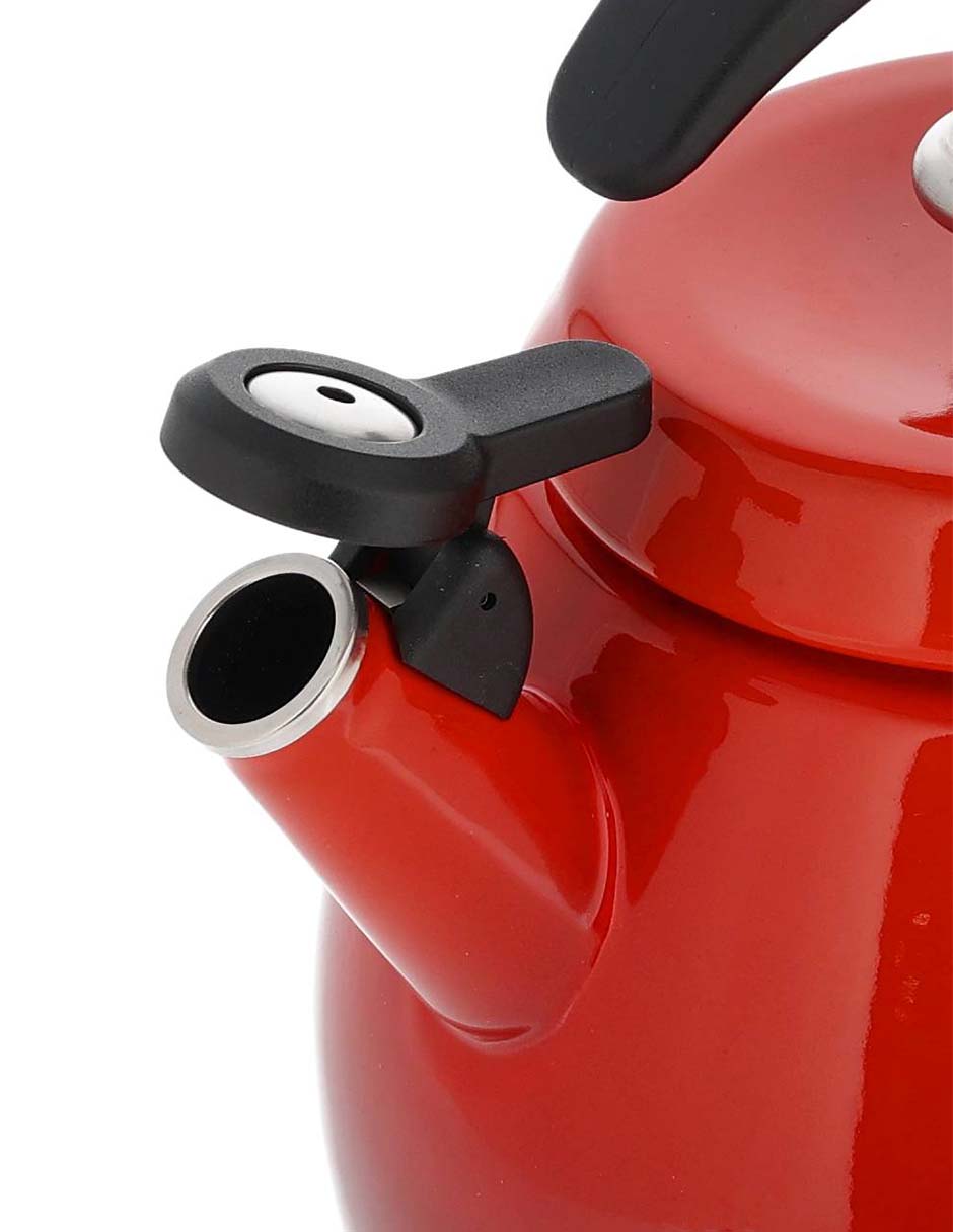 Tetera silbadora Le Creuset de acero inoxidable