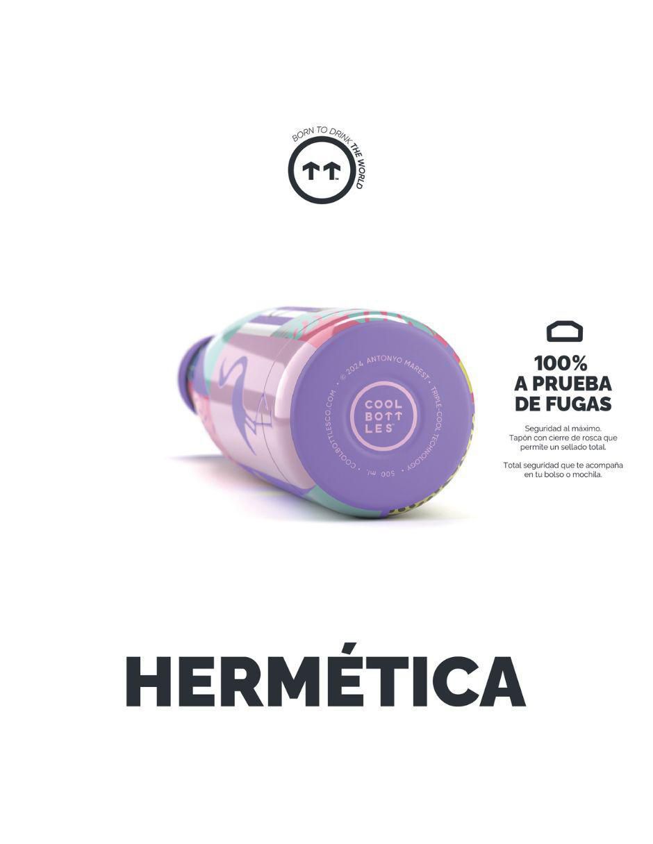 Termo de acero inoxidable Antonyo Marest - René con tapa rosca 500 ml 3