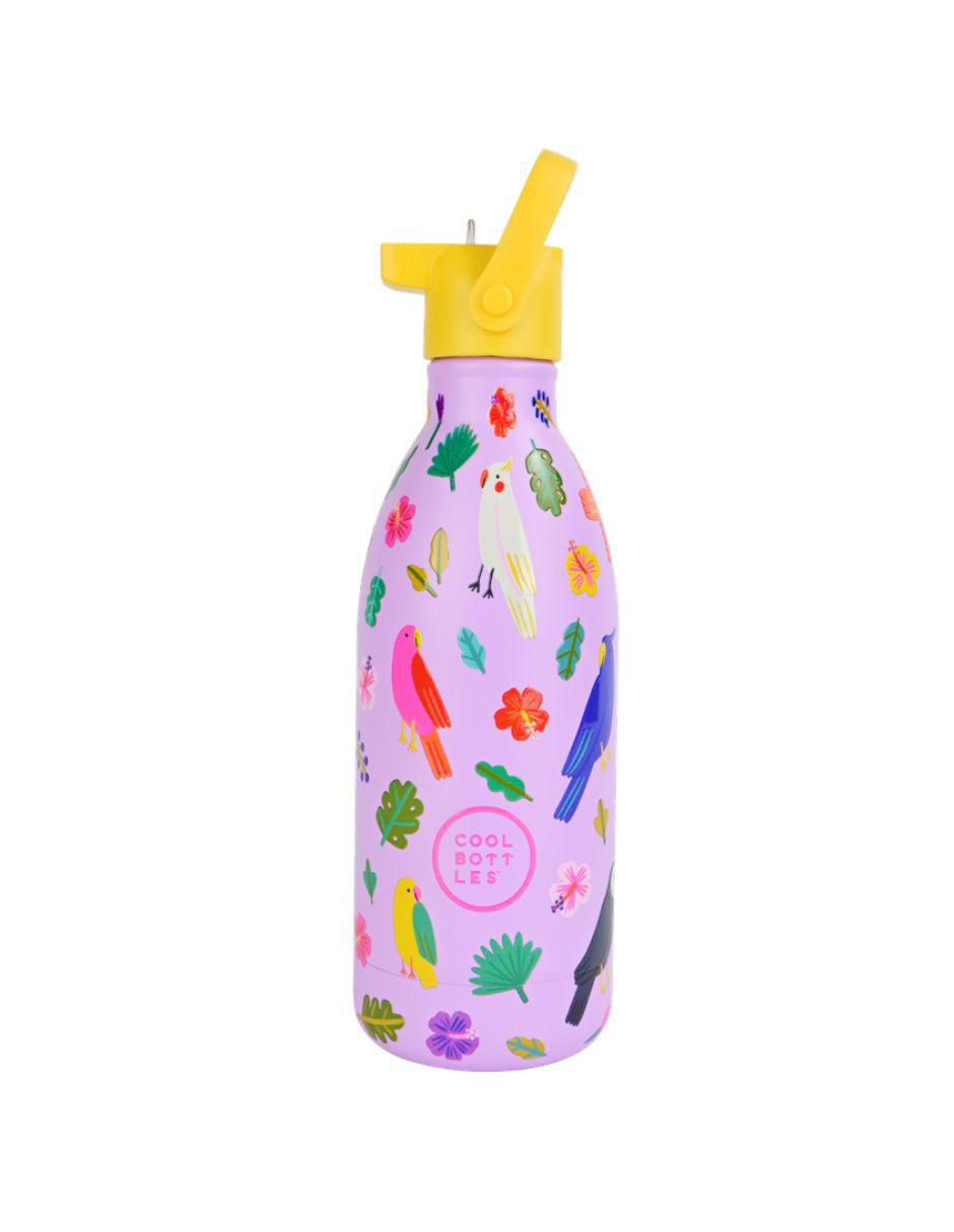Botella de agua de acero inoxidable Kids Fly Free con tapa rosca 500 ml Botella de agua de acero inoxidable Kids Fly Free con tapa rosca 500 ml