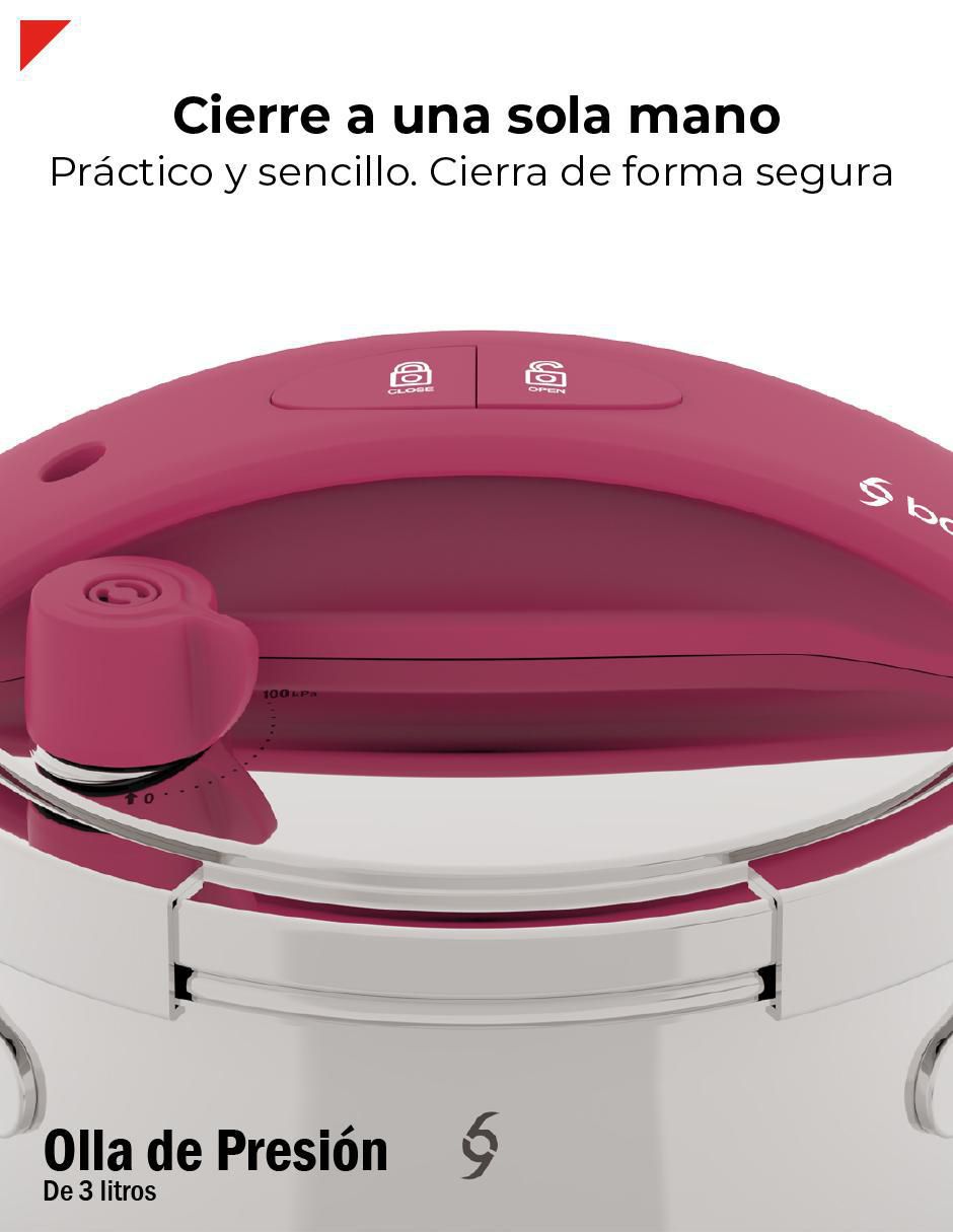 Olla presión 6