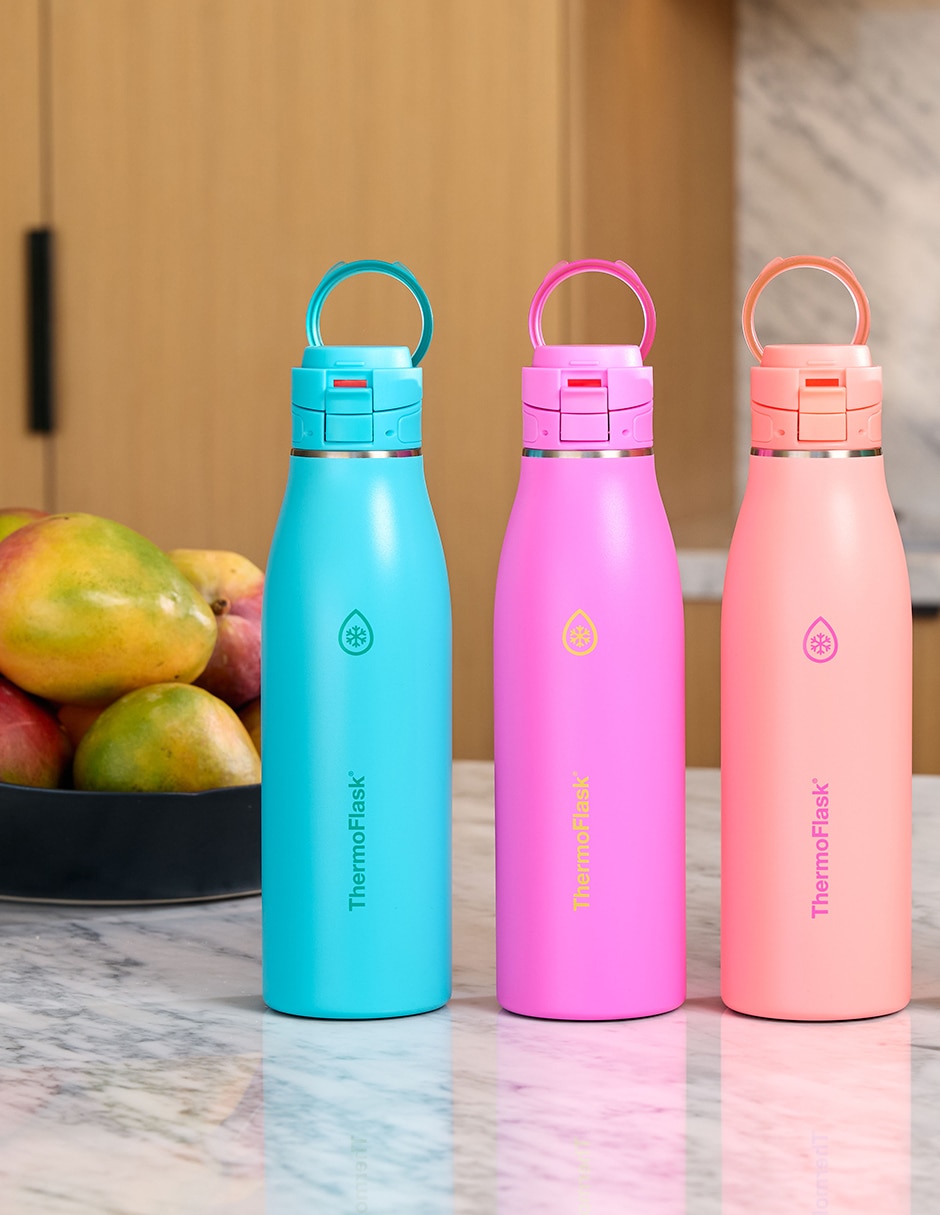 Termo thermoflask de acero inoxidable traveler 25 oz con tapa push pull 750 ml