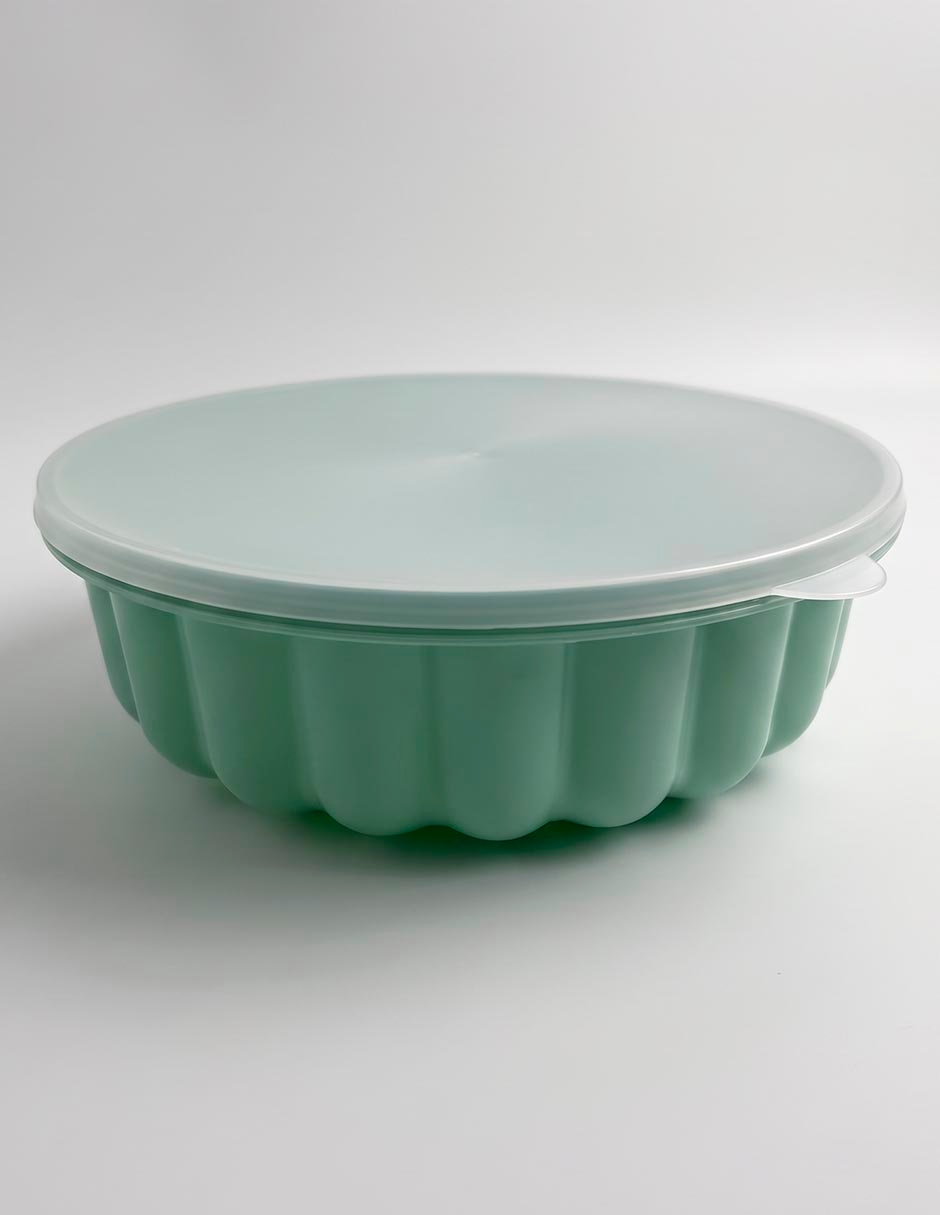 Molde para gelatina 1