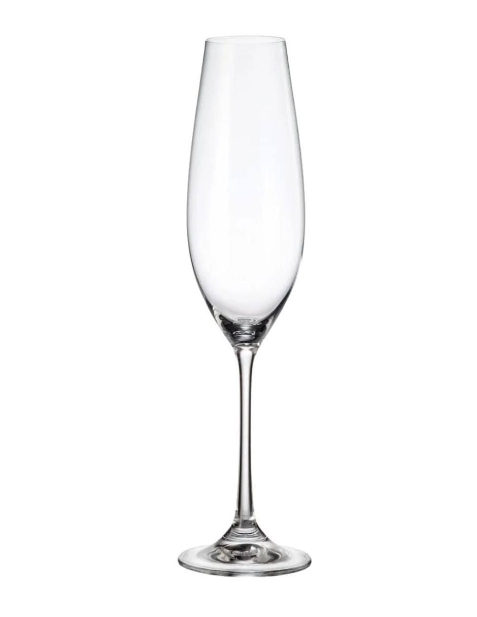 Copa para champán Bohemia de vidrio 6 piezas 3