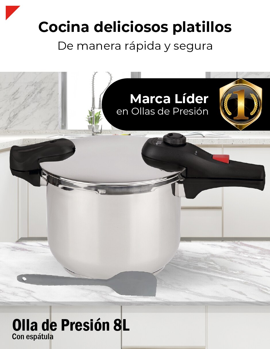 Olla presión sin familia 2